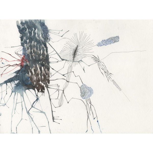 Exceptional carpet 100% hand-knotted wool in Nepal, signed Daniela Busarello
