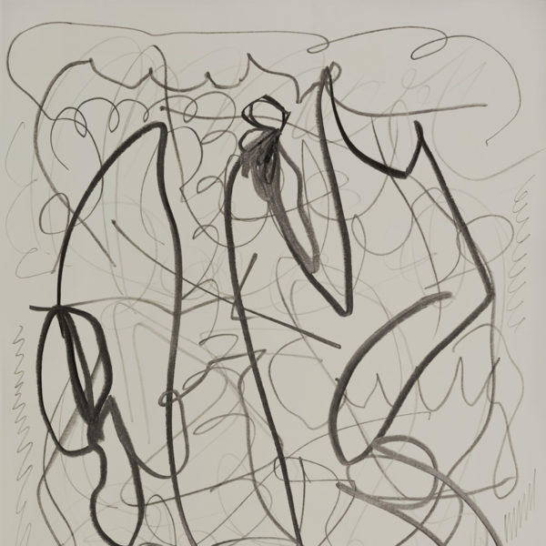 Contemporary drawing with lead pencil on paper, signed Daniel Firman