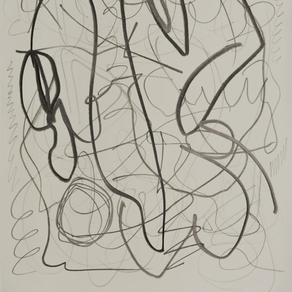 Contemporary drawing with lead pencil on paper, signed Daniel Firman