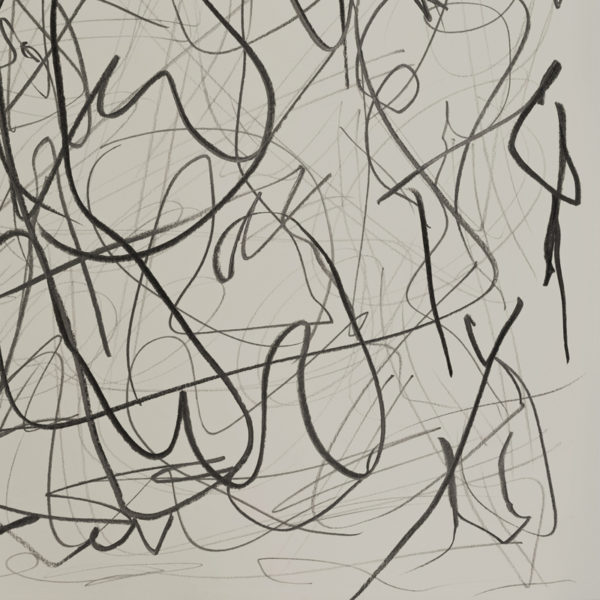 Contemporary drawing with lead pencil on paper, signed Daniel Firman