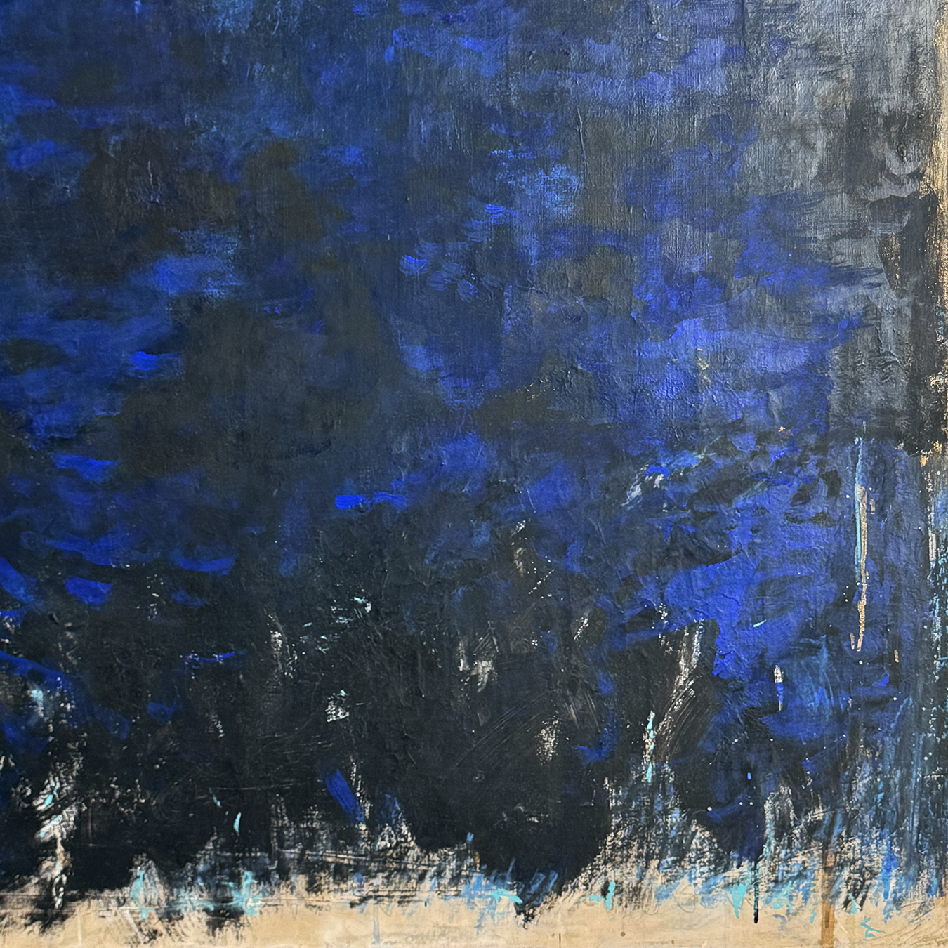 NUEES INDIGO – Image 2
