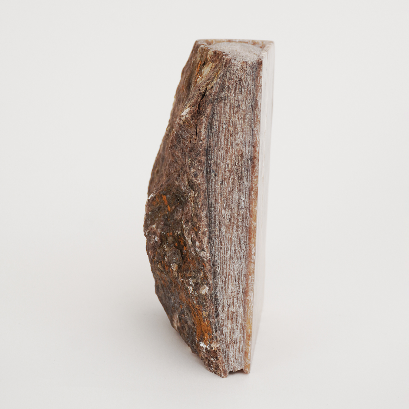 BOOK OF TIME - Image 2