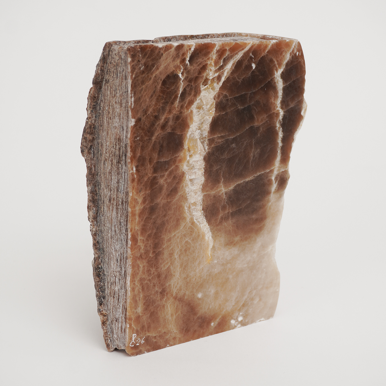 BOOK OF TIME - Image 9