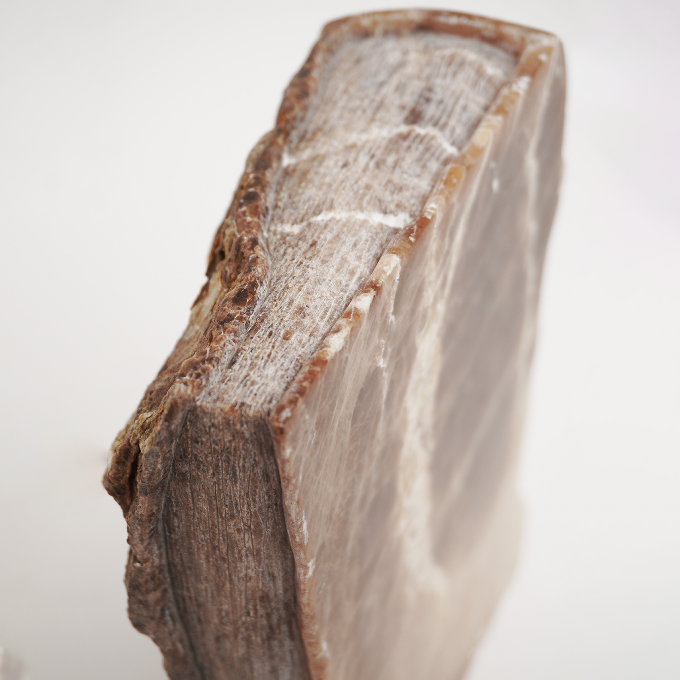 BOOK OF TIME - Image 10