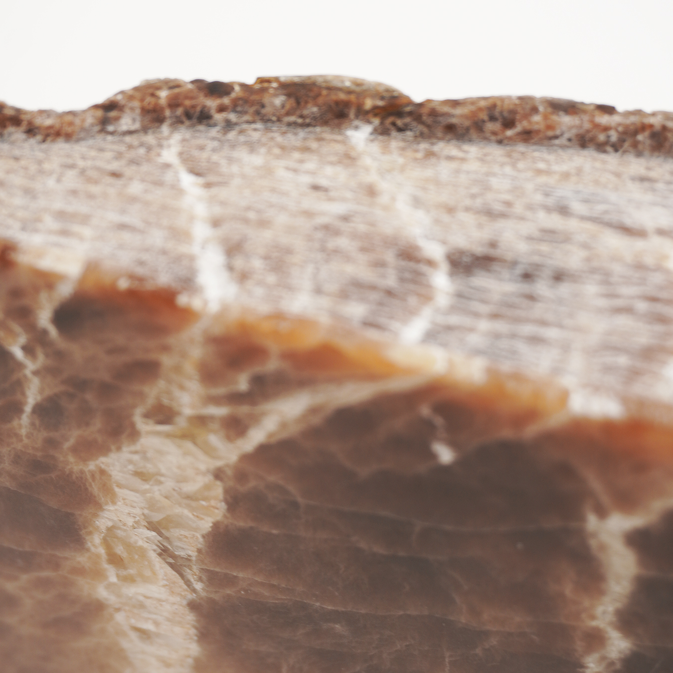 BOOK OF TIME - Image 3